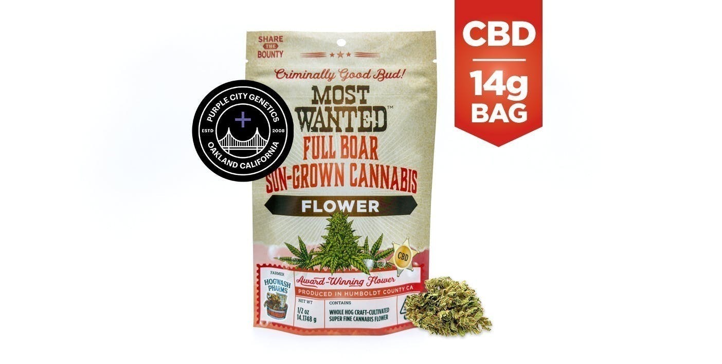 Most Wanted — Sour Tsunami