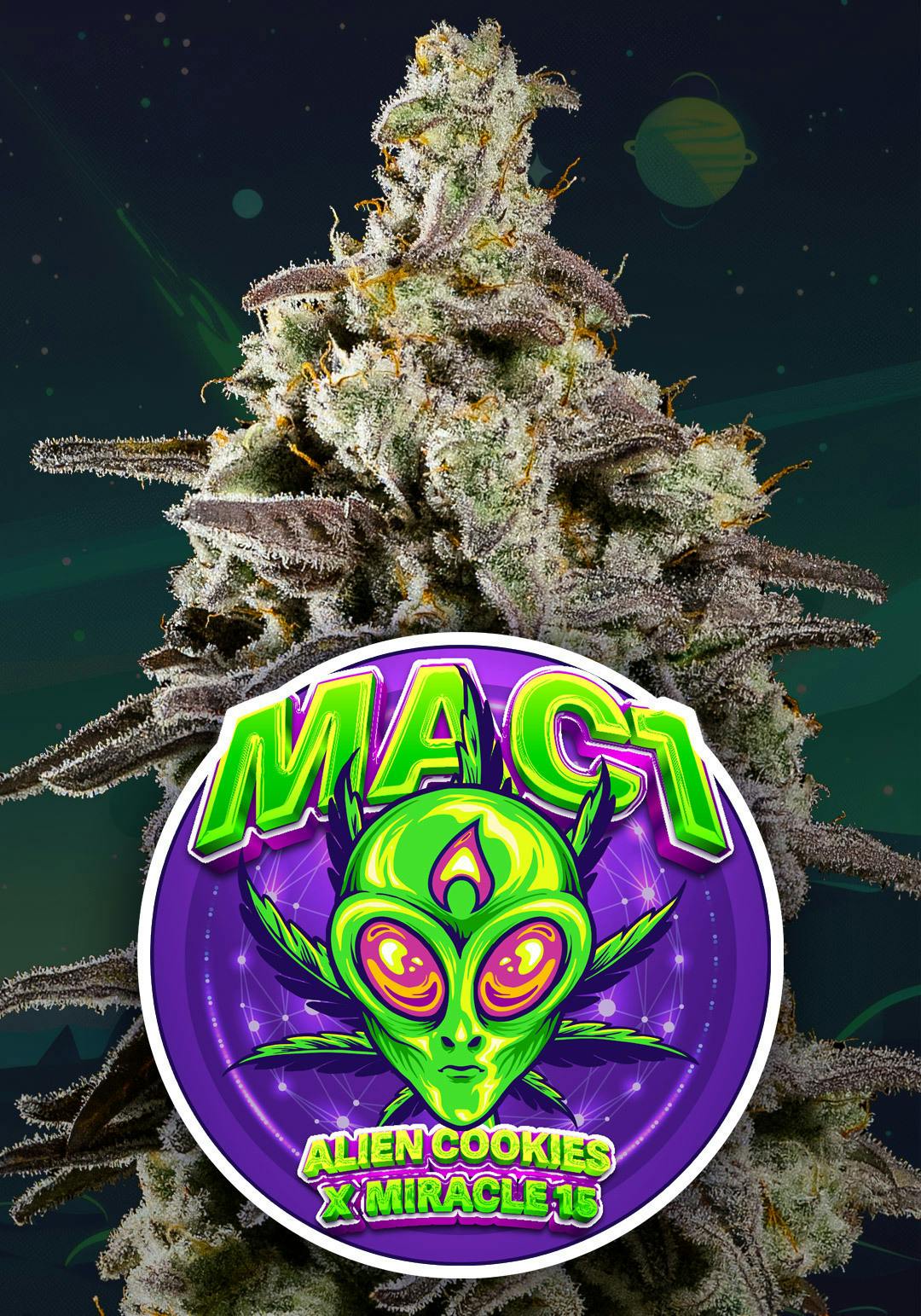 MAC 1 | Big Buds | 3.5g
