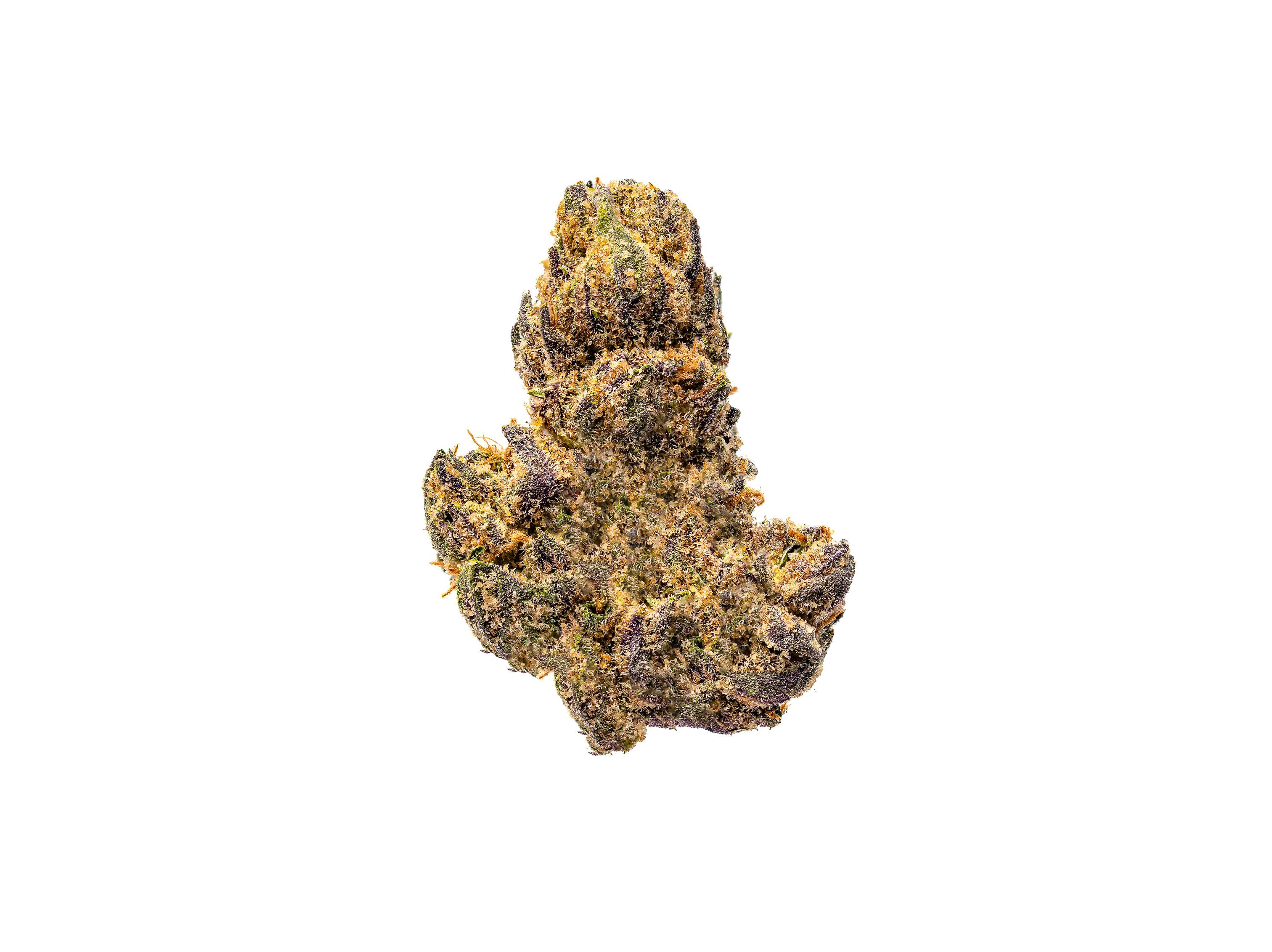 Gary Payton | Big Buds | 3.5g by Fresh
