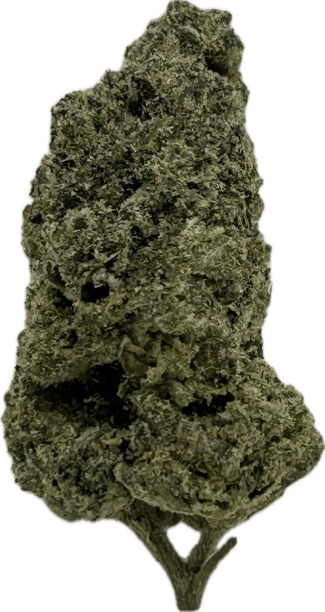 Gelato DoSiDo | Big Buds | 3.5g