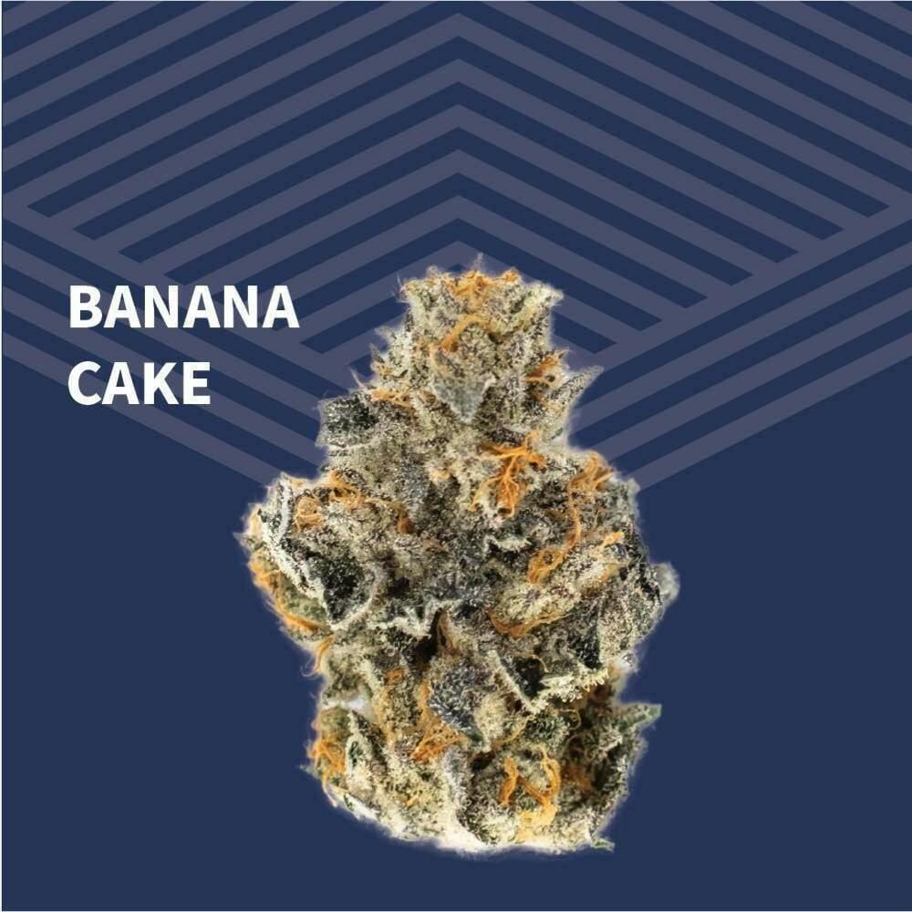 Banana Cake | Big Buds | 1g at Pure Dakota Health Williston Dispensary