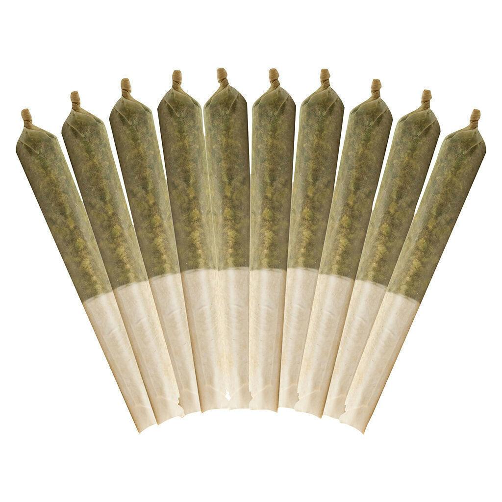 Ethos Glue | Minis | 0.5g | 10pk