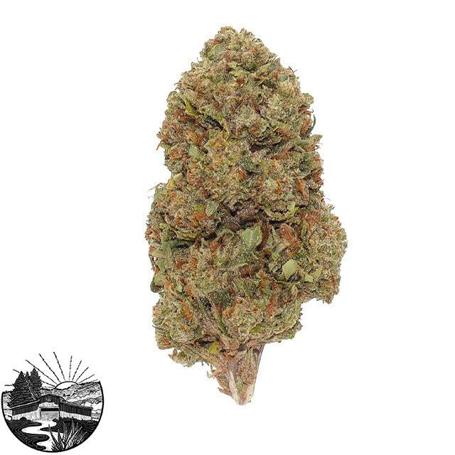Bacio Gelato | Big Buds | 28g