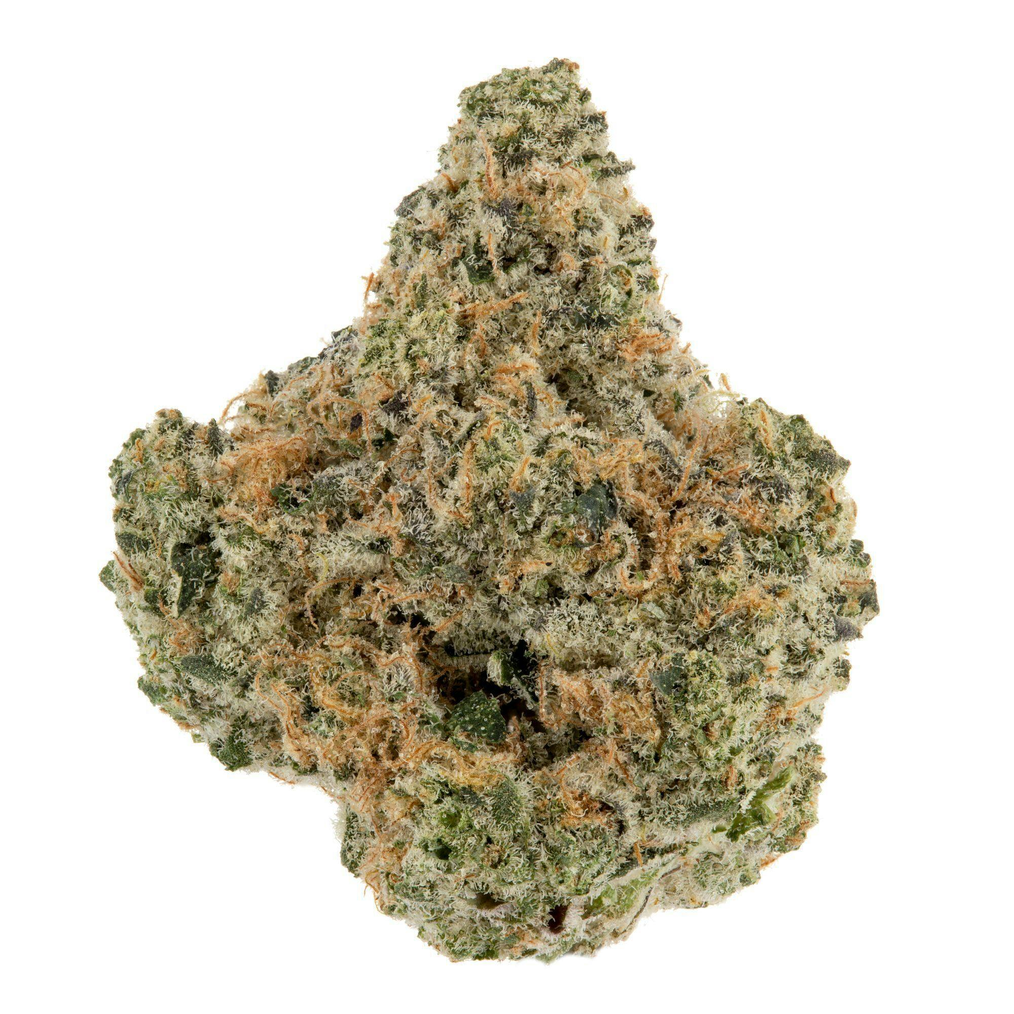 Apple Fritter | Big Buds | 3.5g