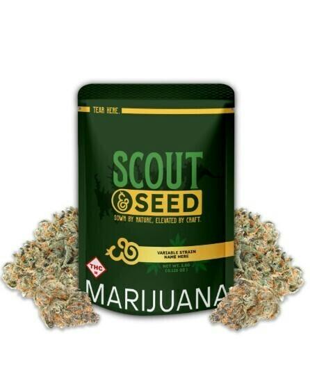 Squirt | 3.5g