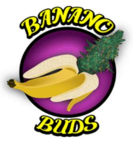 Peyote Critical | Big Buds | 3.5g