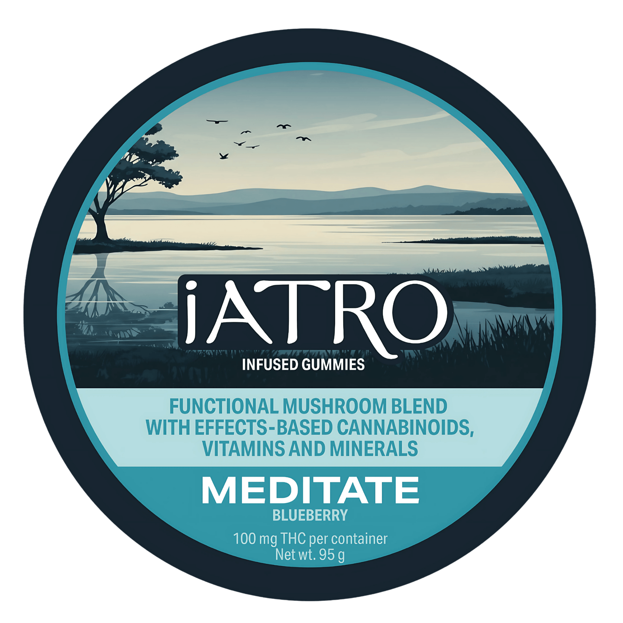 Meditate Blueberry Gummies | Gummies | 10pk | 10mg/ea