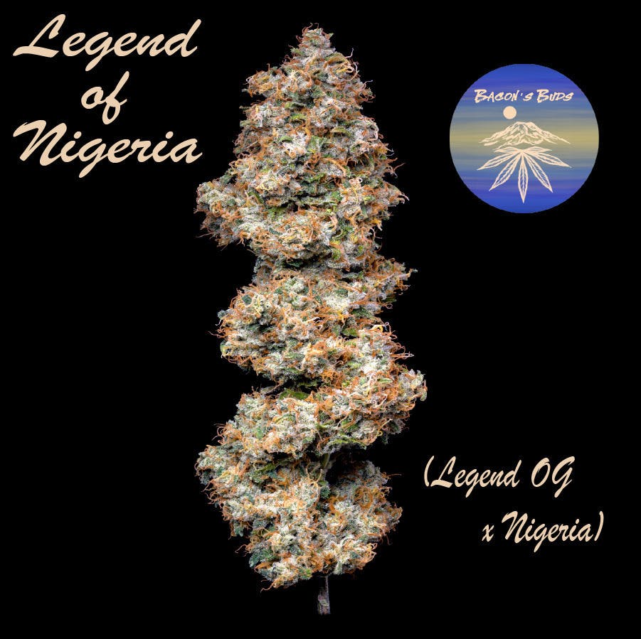 Legend Of Nigeria | 7g