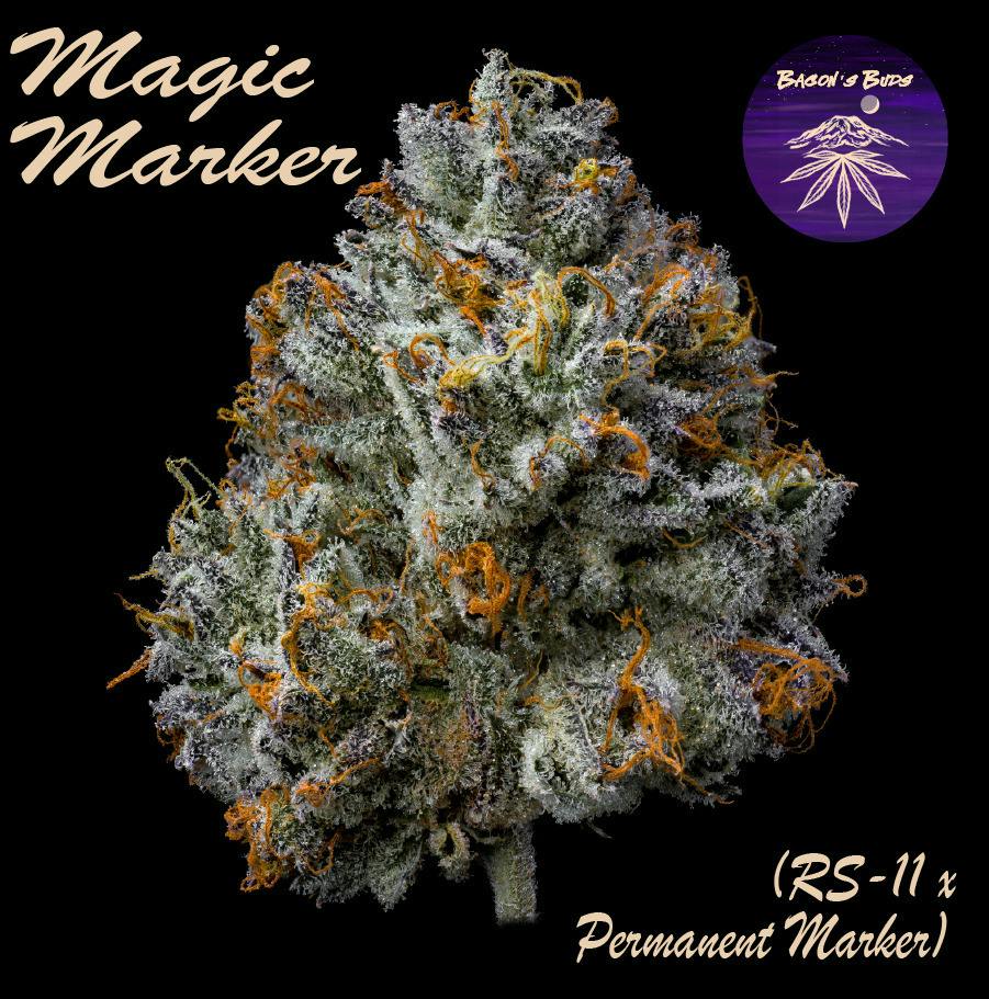 Magic Marker | Big Buds | 3.5g