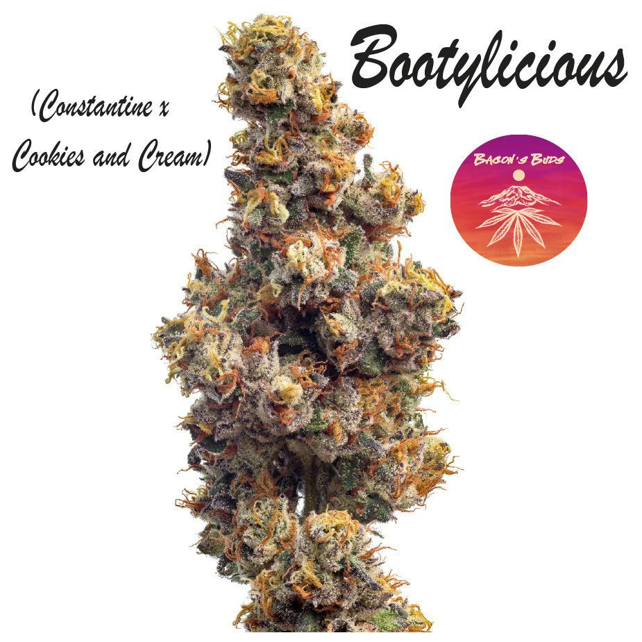 Bootylicious | 14g
