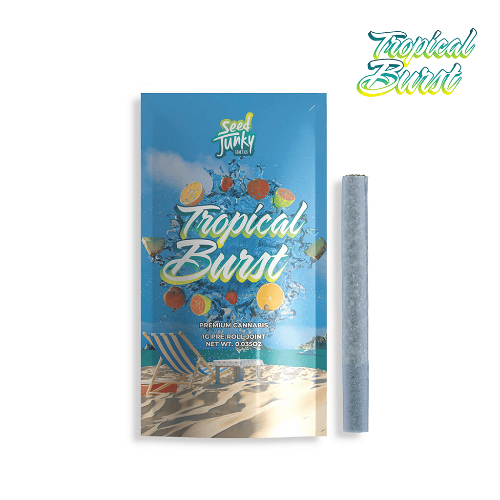 Tropical Burst | Joint | 1g by Seed Junky
