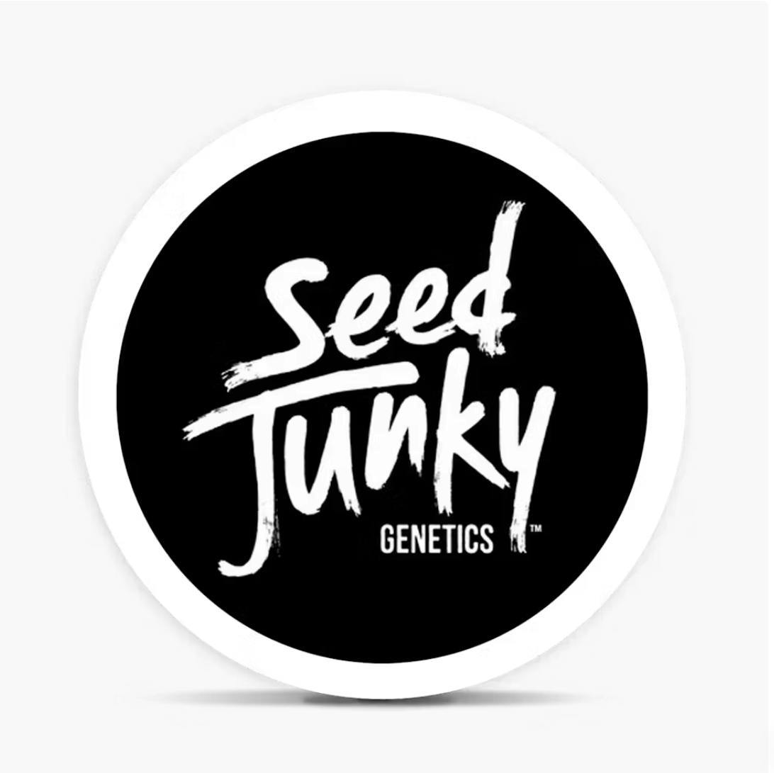 Mango Fruz | Smalls | 14g by Seed Junky
