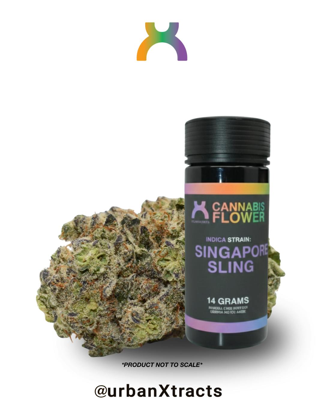 urbanXtracts | Singapore Sling | Big Buds | 14g