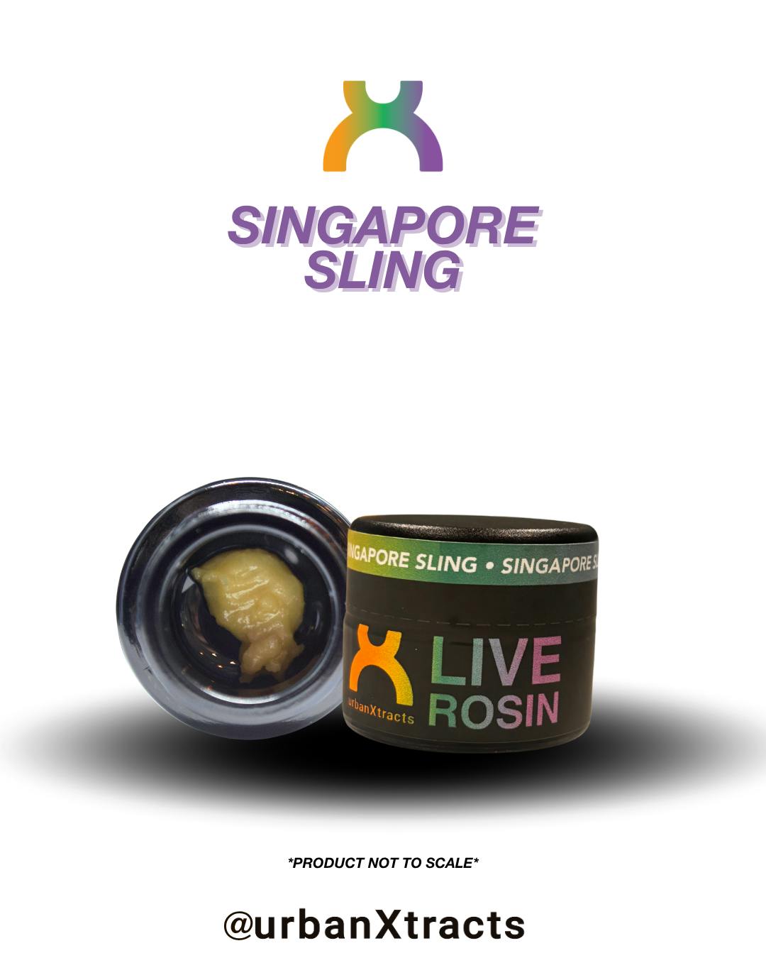 urbanXtracts | Singapore Sling | Cold Cured Live Rosin | 1g by urbanXtracts