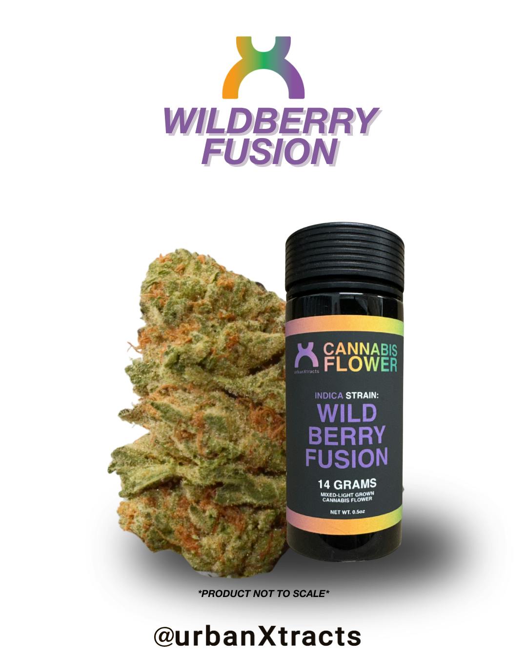 urbanXtracts | Wild Berry Fusion | Big Buds | 14g