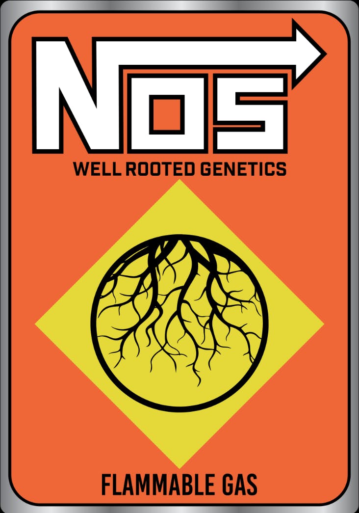 Well Rooted Genetics | NOS | Bubble Hash Infused Joint | 1.25g