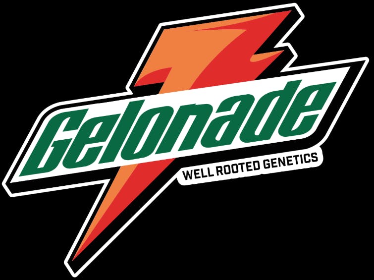 Well Rooted Genetics | Gelonade | Bubble Hash Infused Joint | 1.25g