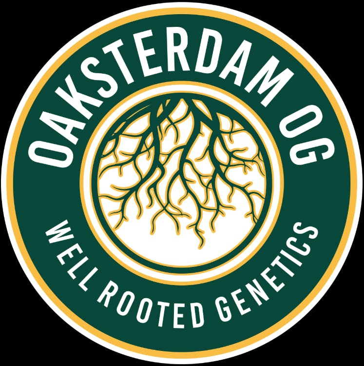 Well Rooted Genetics | Oaksterdam | Flower