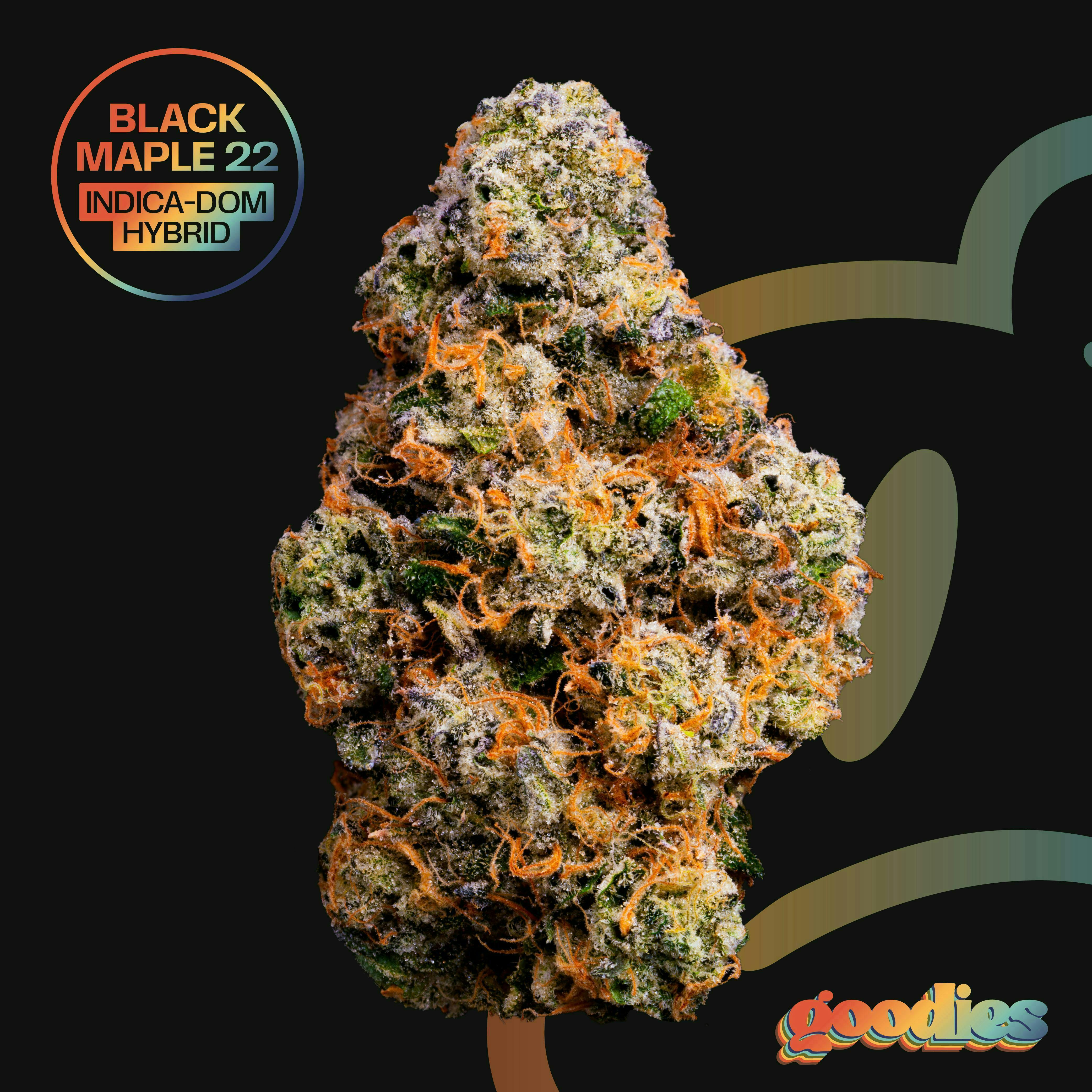 Black Maple 22 | Big Buds | 1g