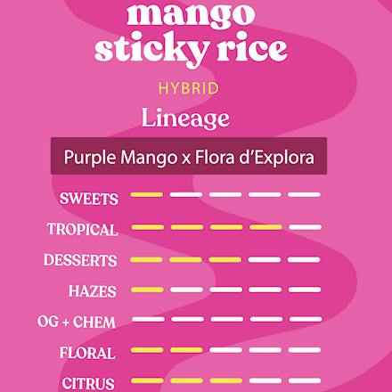 Mango Sticky Rice | Big Buds | 3.5g