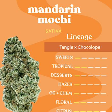 Mandarin Mochi | Big Buds | 3.5g
