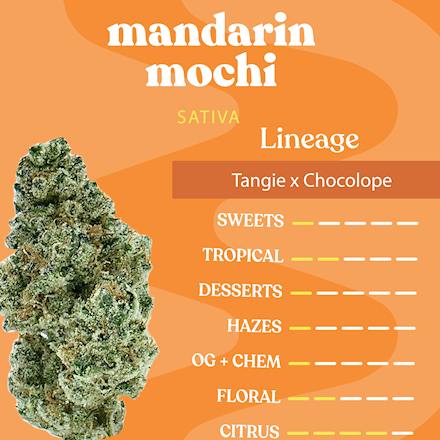 Mandarin Mochi | Big Buds | 1g