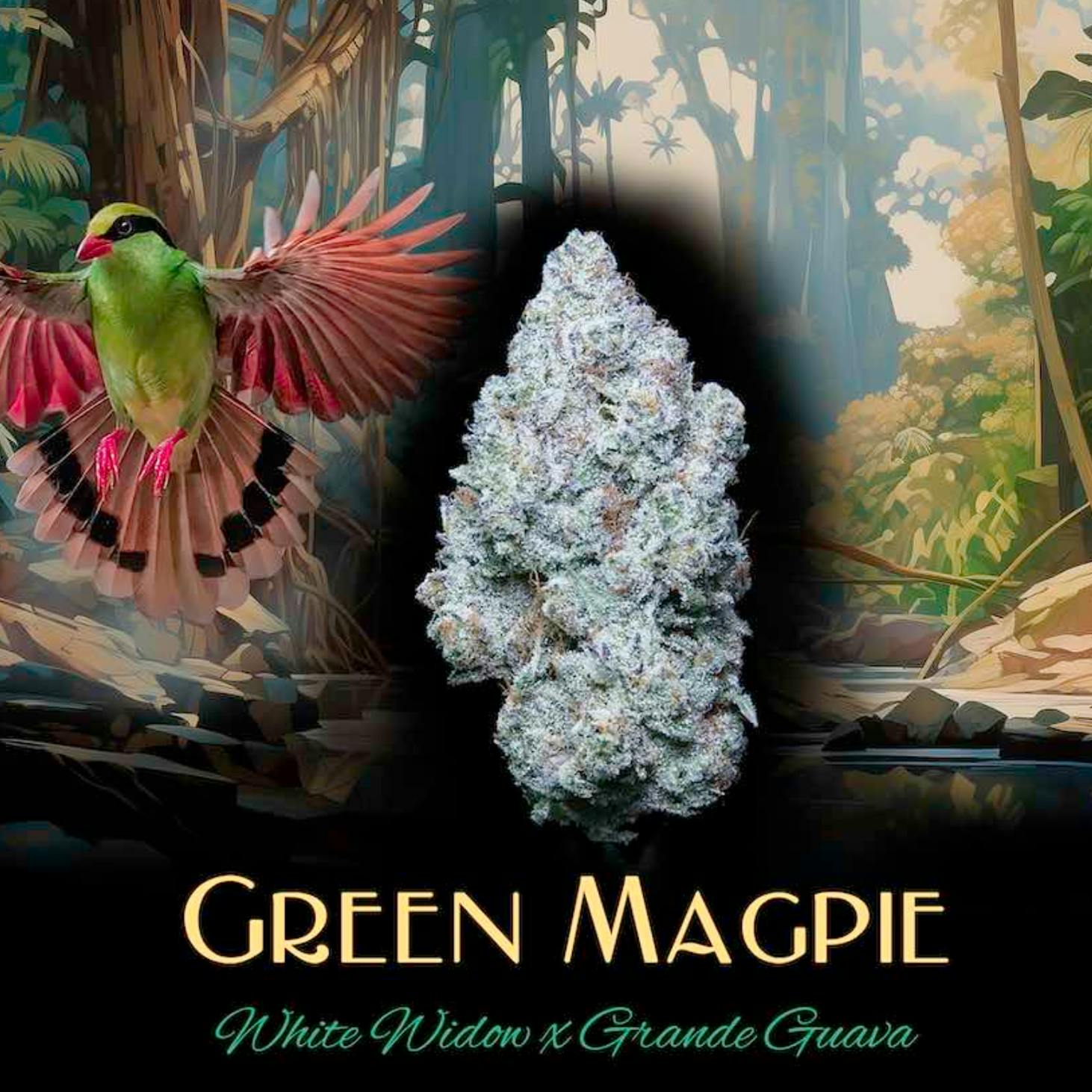 Green Magpie | 1g