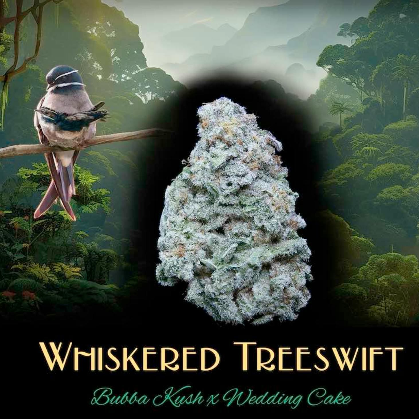 Whiskered Tree Swift | 3.5436g