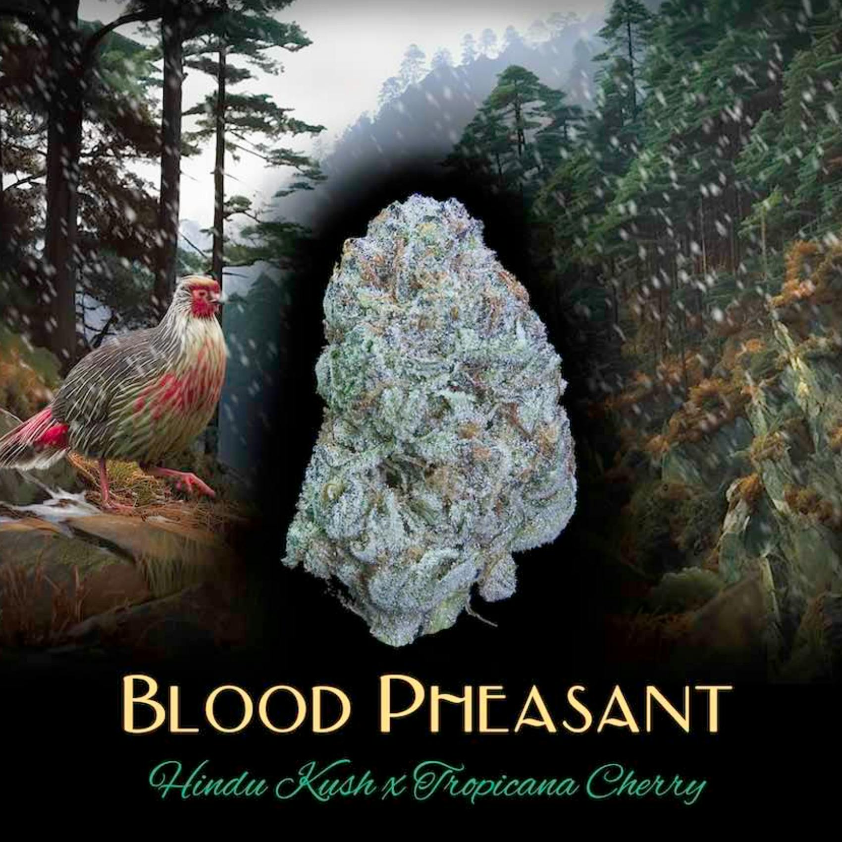 Blood Pheasant | 1g
