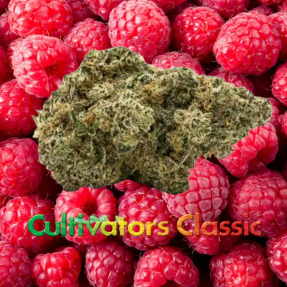 Raspberry Hashplant | 3.5g