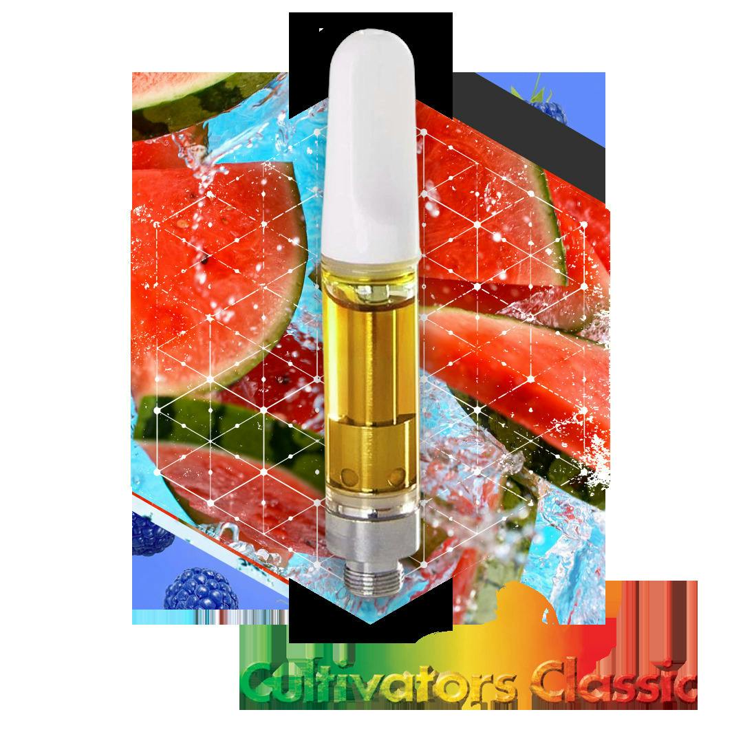 Watermelon Wave | Cartridge | 1g at Pioneer Valley Trading Company