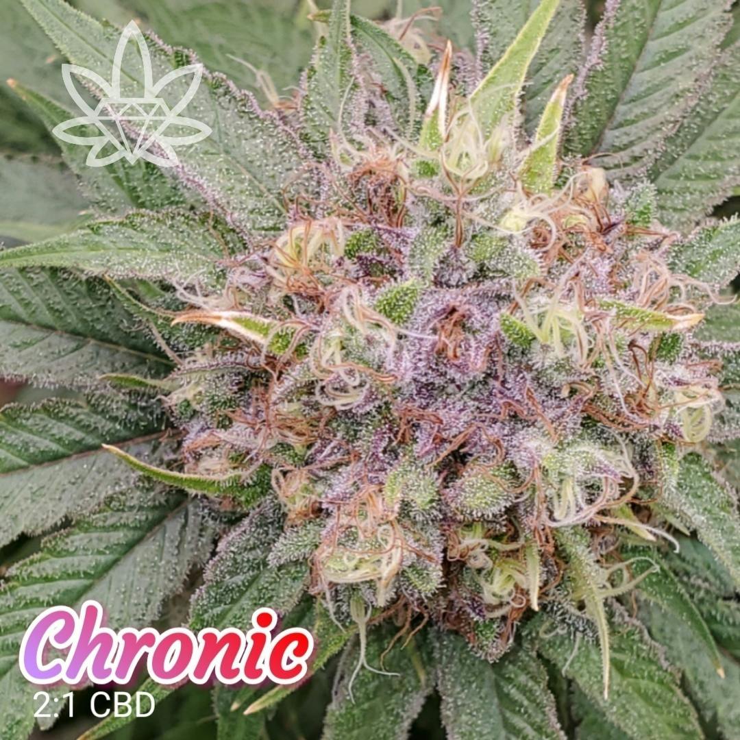 Chronic CBD | Big Buds | 3.5g