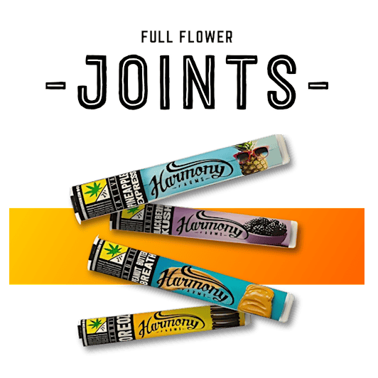 Purple Churro | Joints | 1g