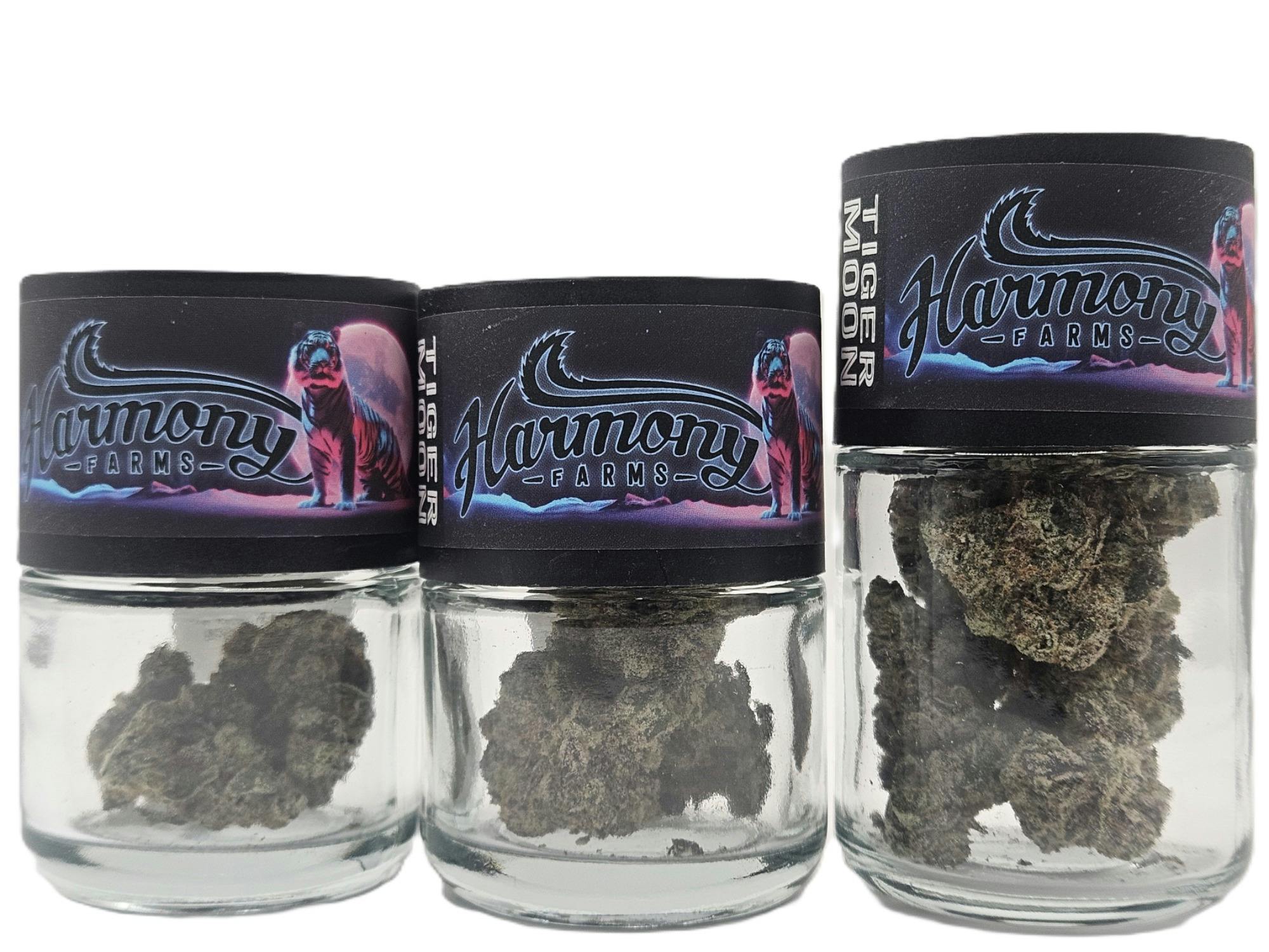 Tiger Moon | Big Buds | 2g