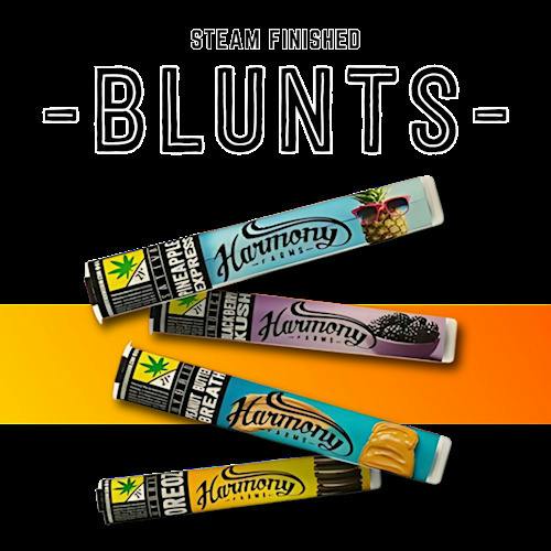 AK-47 | Blunts | 1g