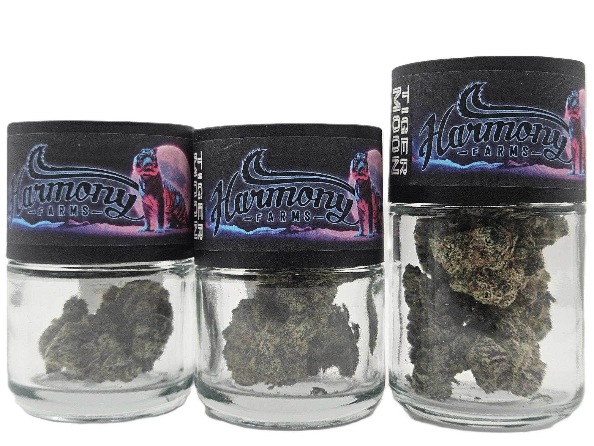 Tiger Moon | Big Buds | 7g