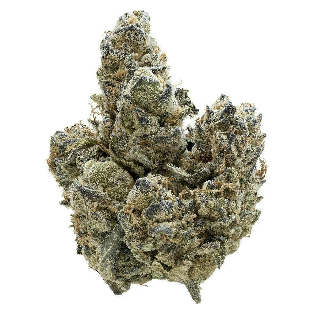 Nugz | Florida Oranges | Big Buds | 7g