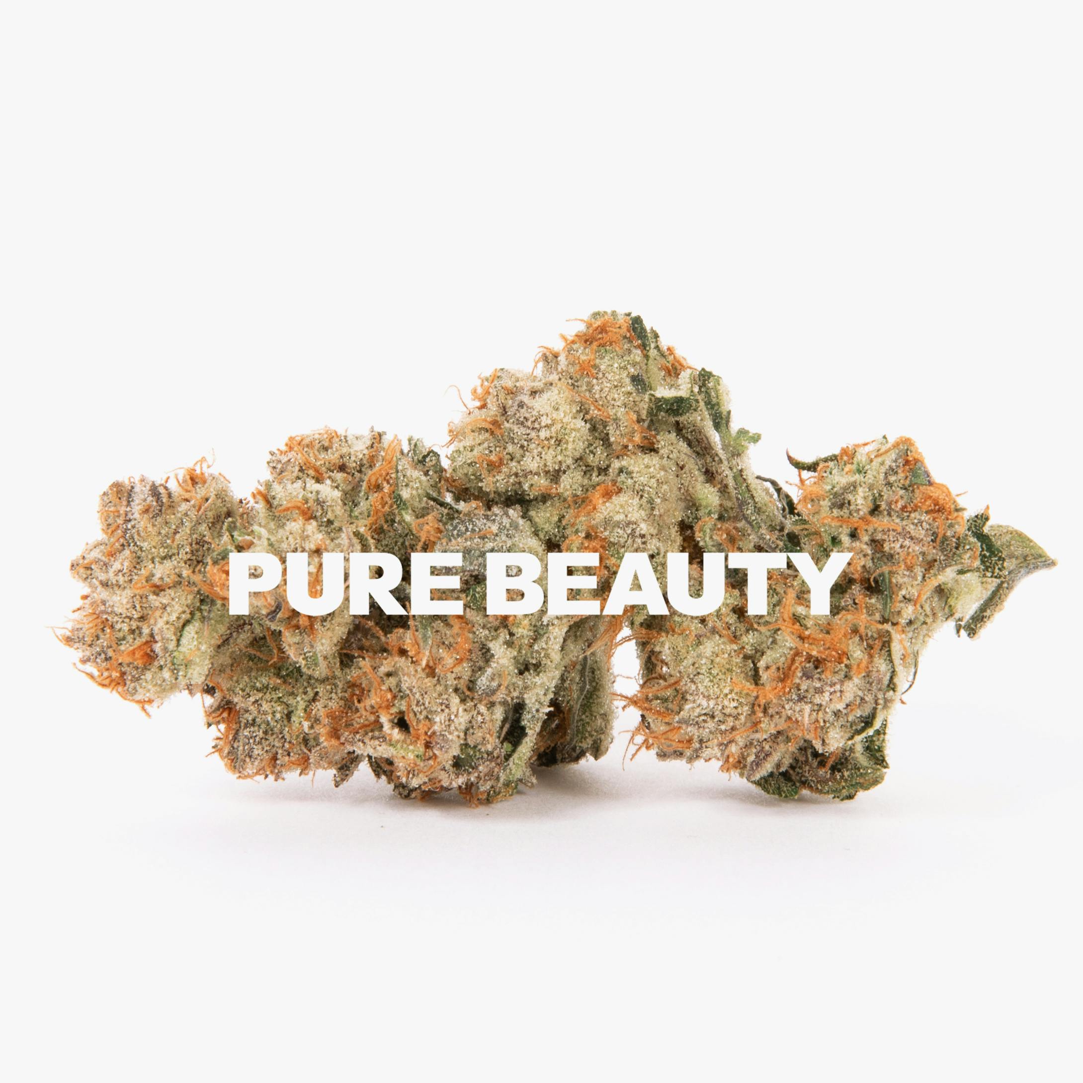 Pure Beauty — Canal Street Runtz