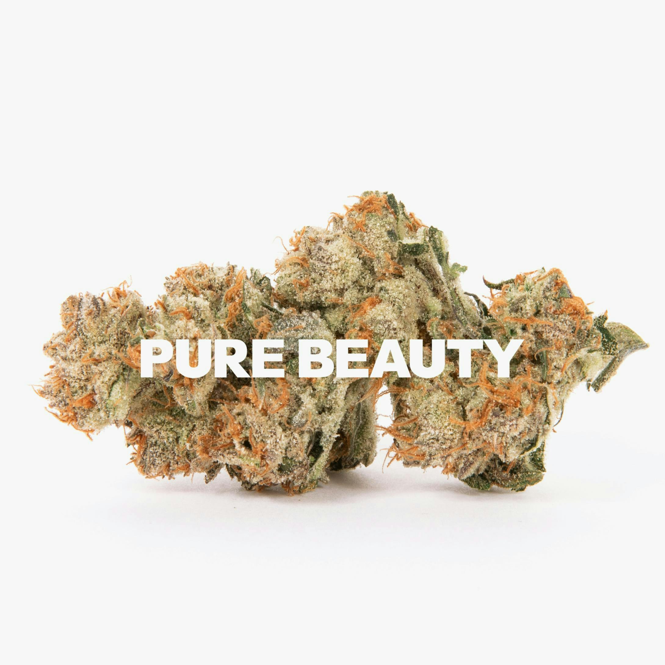 Pure Beauty: Canal Street Runtz