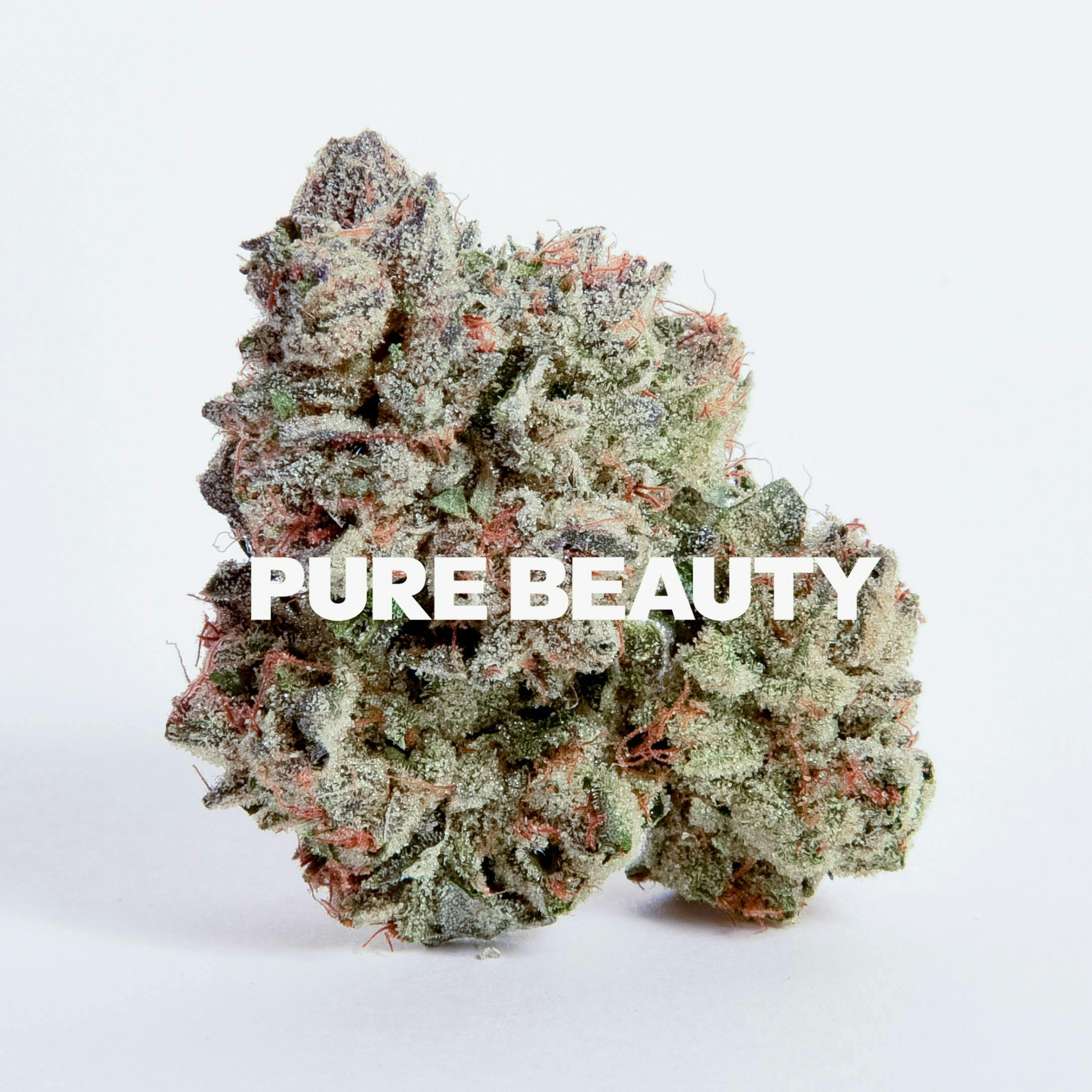 Pure Beauty: Zowah - 3.5g Indoor