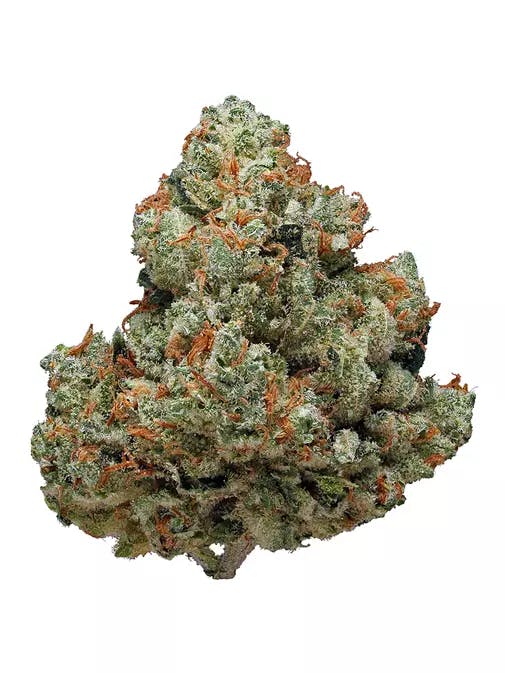 Rare Dankness | Chemdawg #4 | Flower | 3.5g by Rare Dankness