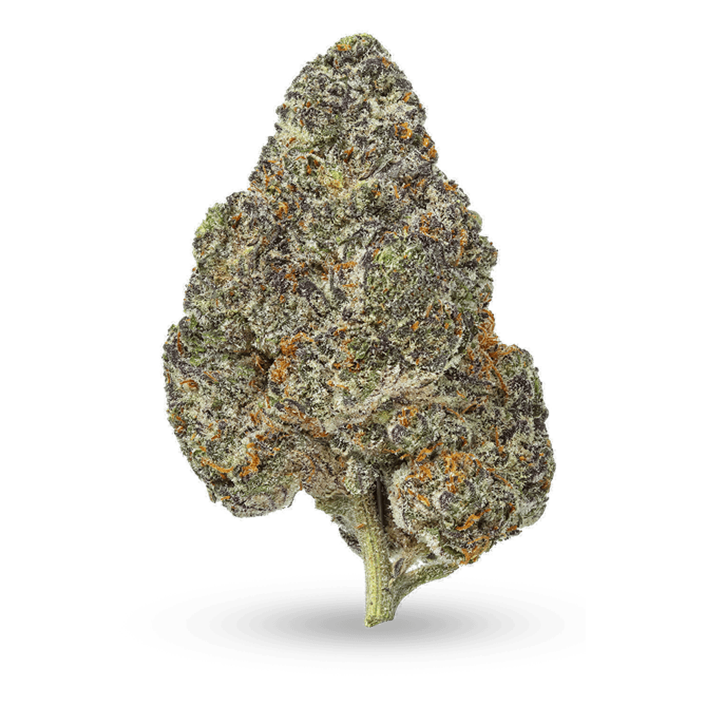 Rare Dankness | Permanent Pineapple | Flower 28g by Rare Dankness
