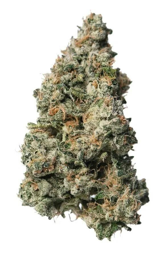 Rare Dankness | Black Maple | Flower | 28g by Rare Dankness