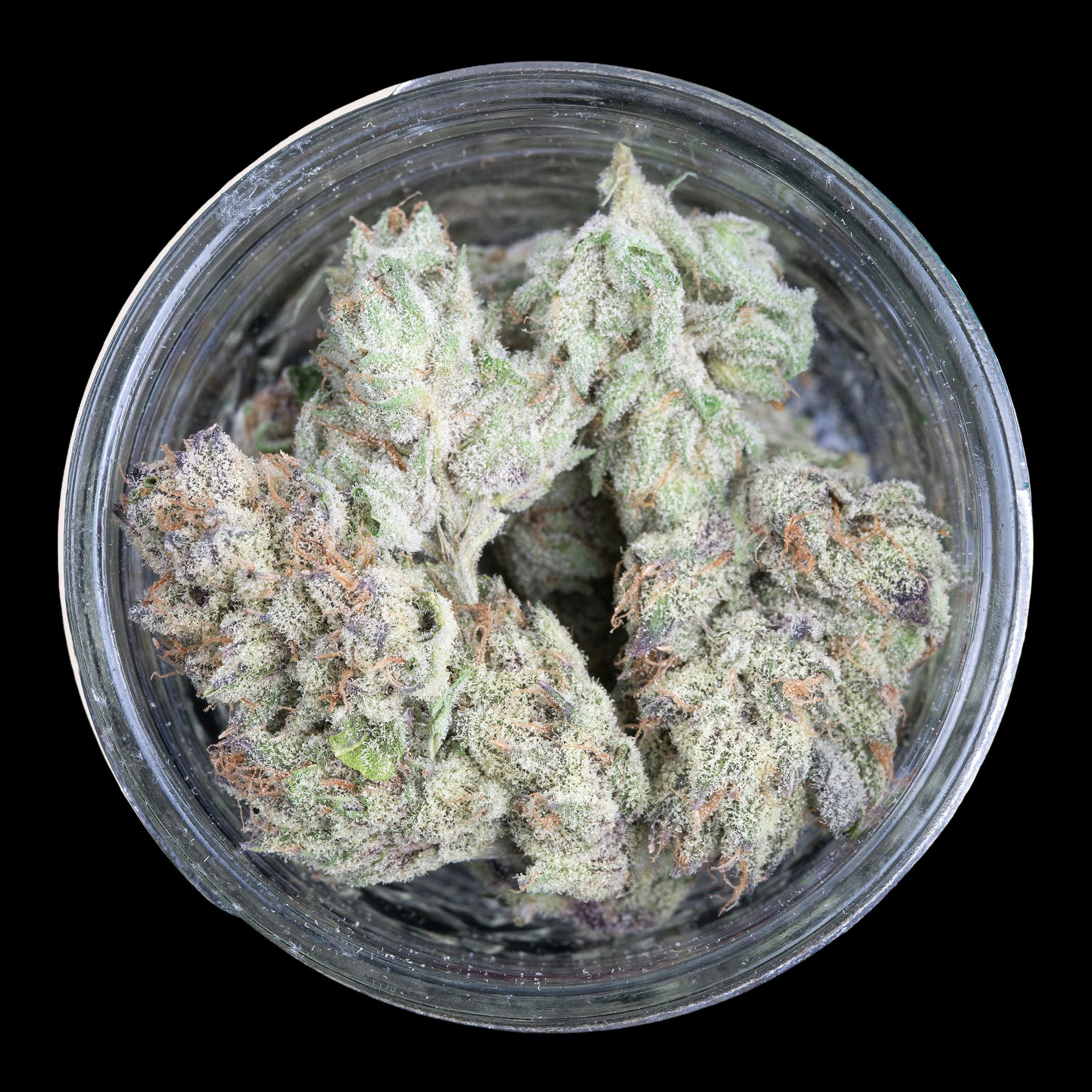 Bolinas - FRAKTAL Cannabis at indico