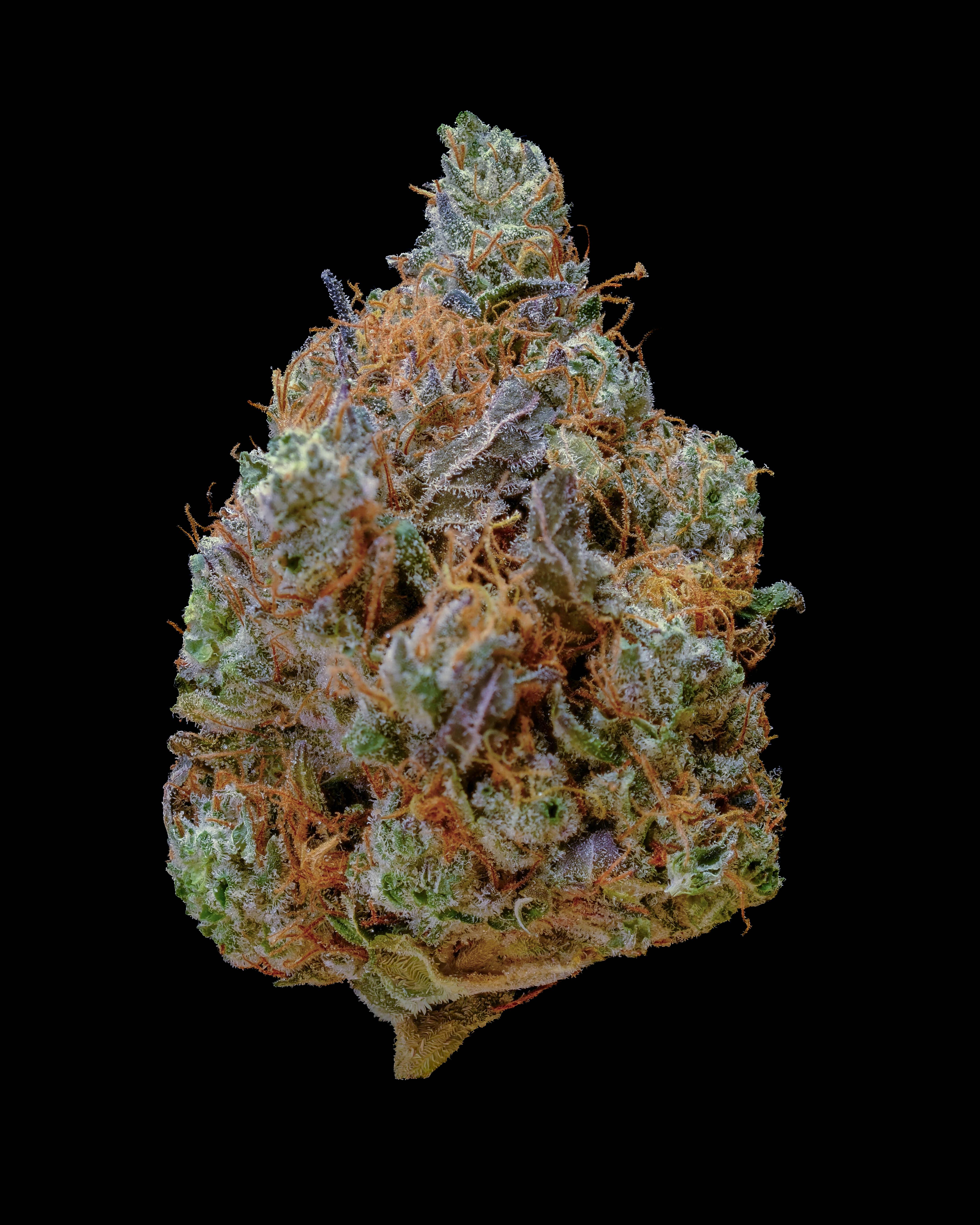 MOB by Recreational Habits