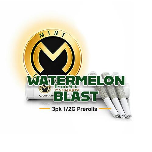 Watermelon Blast | Minis | 0.5g | 3pk at Mint Cannabis - Gainesville