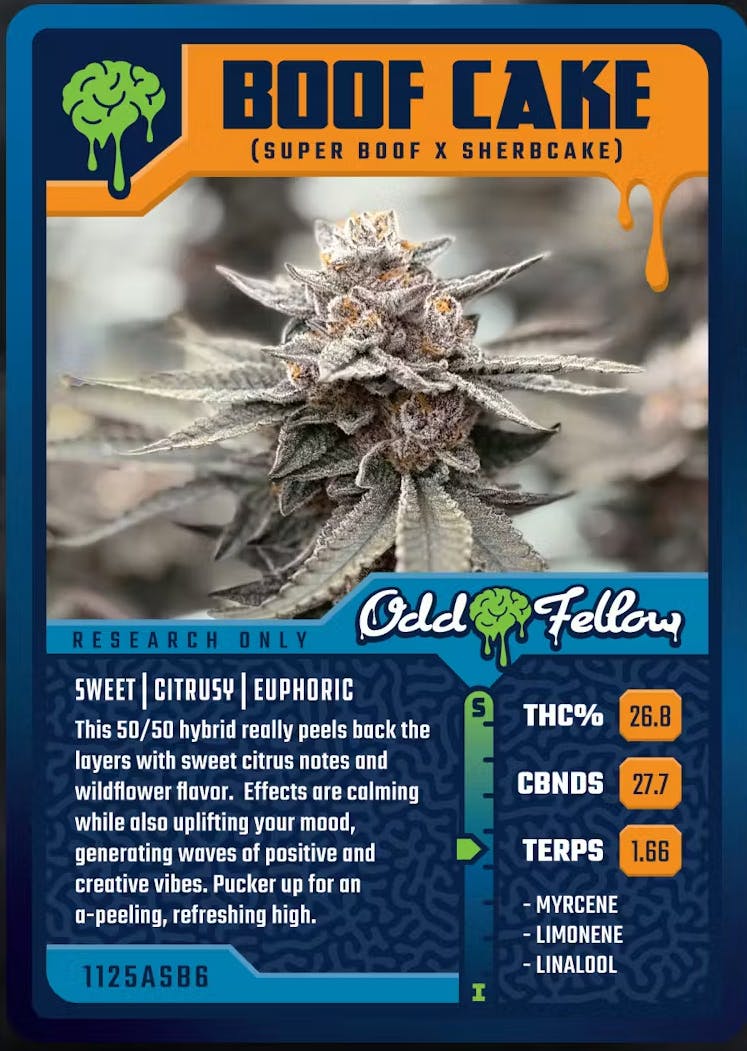 Boof Cake