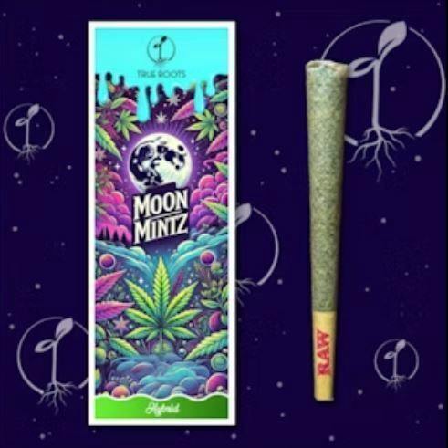 Moon Mintz