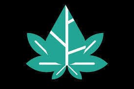 Ghost Train Haze | Infused Joints | 1g at Buds 'n More Dispensary - Tucumcari