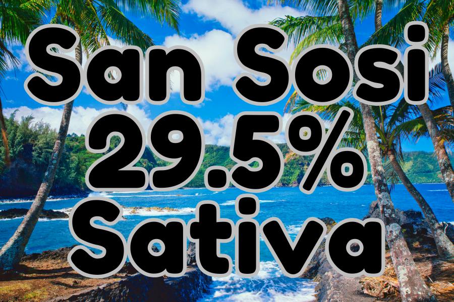 Sans Sosi | 1g